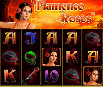 Flamenco Roses